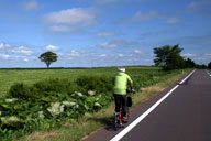 �k�C���炵���i�F