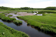 �����Ȏ������_��