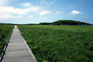 �ؓ�����������Ă���