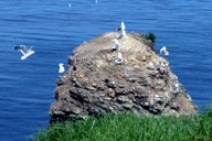 �J��������������