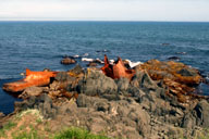 ���ʂ������^�D�̎c�[