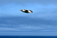 �J������������ь���