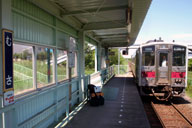 �����w�ɓ���