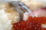 �V�N�Ȃ��D�݊C�N���̏o���オ��