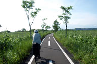 �����̒����Ђ����瑖��