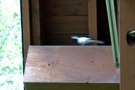 ������o��Z�L���C