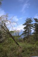 �x�m�R������Γo����y��