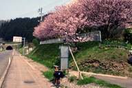 �����܂��܂�����