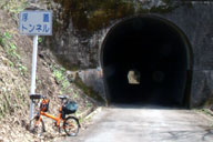 �����ȓ��̕��W�g���l��