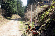 �g���l�����z����Ɖ���s