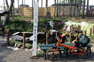 ��䏊����