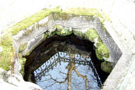 �Z���N���S�ň�Ԓ����ȃj�e�R����