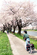 �����ȍ���