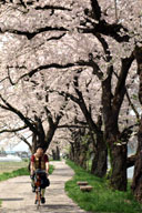 ��̏���C�����悭����