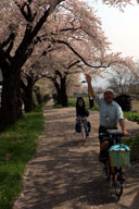 �قږ��J�̍�