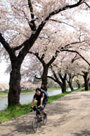 ���̒��ʂ��ē��̉w�Ɍ�����