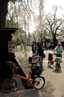 �p�ق̕��Ɖ��~�̒ʂ�