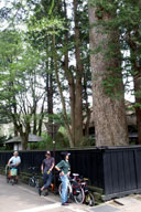 ����300�N�̋���