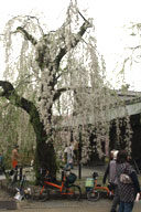 �p�ي��׍H�`���ّO�̌����Ȃ������