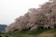 �{�����[���̂���}������o����