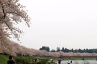 �O�ؓ��쓌��2km�ɂ킽�������