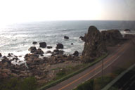 ���{�C�����ɑ���ܔ\��