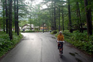 �㍂�n�o�X�^�[�~�i������͂�������ܑ�