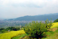 �H�̂���̒���