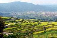 �����ȒI�c�i�疇�c�j