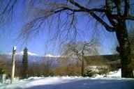 ��������A���v�X�����]