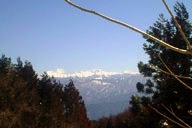 �ؗ��̊Ԃ��猩�����A���v�X