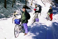 ��̒�������