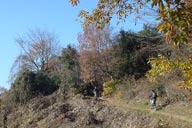 �V���O���g���b�N�𑖂�