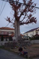 �F�J�h��O�̈ꗢ��