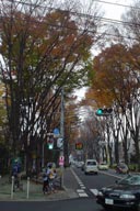 ��{�h�̃P���L����