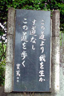 �u���̓�����𐶂������Ȃ� ���̓�������v