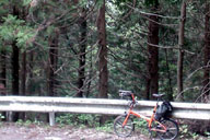 �܂������u���v�̑򉈂��ɓo��