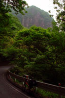 ���₪��̕��Ɍ�����