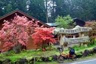 �����ɍ��ېX�ь����Ǘ���