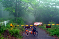 �D���ꐶ�����ۑS�ѓ���