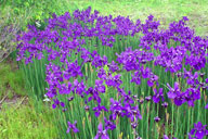 �A������������