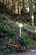 �����̓o���