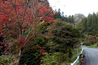 �����̍g�t