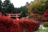 �����ƍg�t�̃R���g���X�g