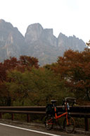 �g�t���o�b�N��