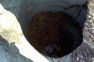 ���a1m�͂����M��