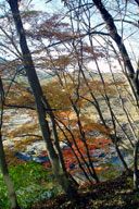 �΂ƐԂ̃R���g���X�g