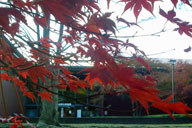 ���R�����ّO�̍g�t