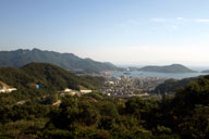 ���ǂ̏W���������낷