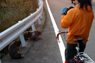 �쐶�̉��������ɏo�Ă���